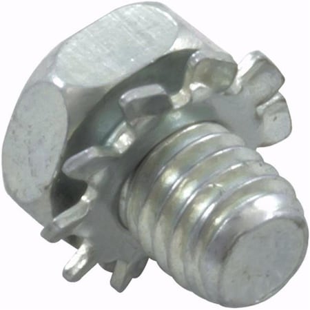 Balboa 10-32 x 0.25 in. Strap to Board Bolt 36151